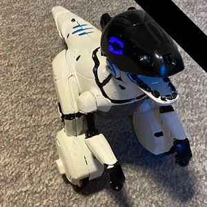 Meet your Posher, Nick